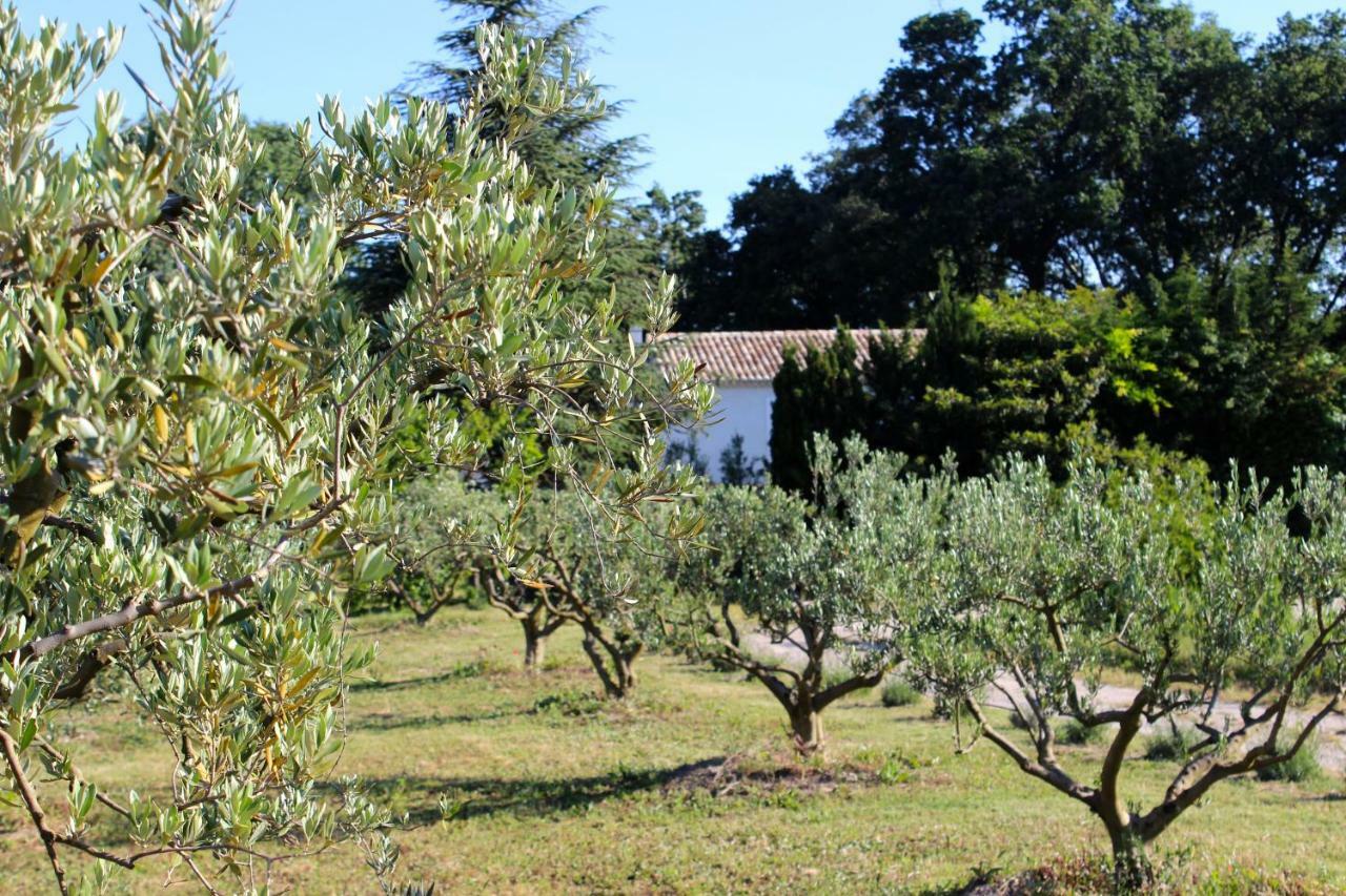 B&B Mas De Caustes Saint-Rémy-de-Provence Exterior foto