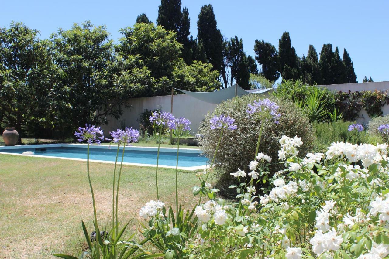 B&B Mas De Caustes Saint-Rémy-de-Provence Exterior foto