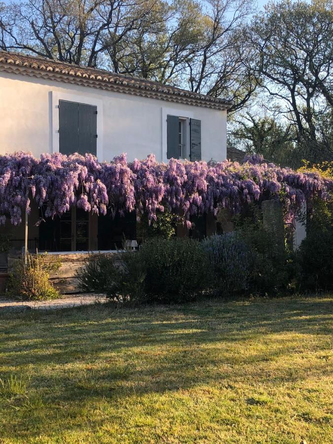 B&B Mas De Caustes Saint-Rémy-de-Provence Exterior foto